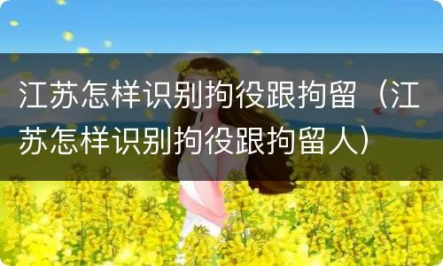 江苏怎样识别拘役跟拘留（江苏怎样识别拘役跟拘留人）