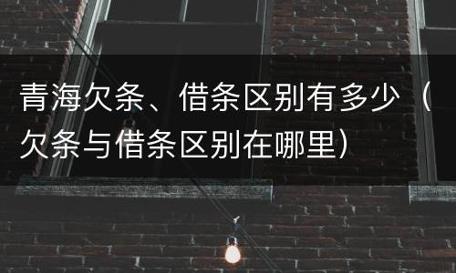 青海欠条、借条区别有多少（欠条与借条区别在哪里）