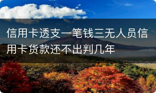 信用卡透支一笔钱三无人员信用卡货款还不出判几年