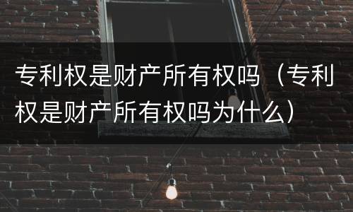 专利权是财产所有权吗（专利权是财产所有权吗为什么）