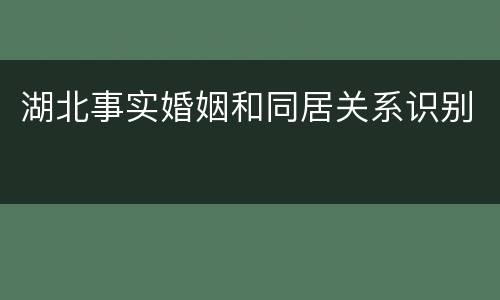 湖北事实婚姻和同居关系识别