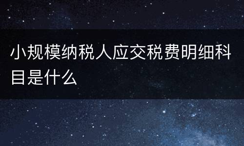 小规模纳税人应交税费明细科目是什么