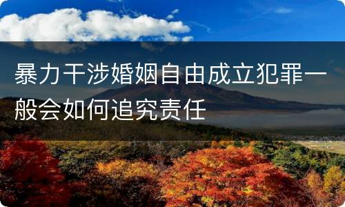 暴力干涉婚姻自由成立犯罪一般会如何追究责任