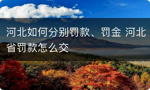 河北如何分别罚款、罚金 河北省罚款怎么交