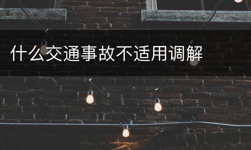 什么交通事故不适用调解