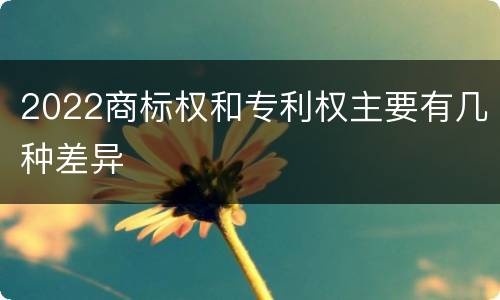 2022商标权和专利权主要有几种差异
