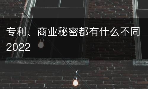 专利、商业秘密都有什么不同2022