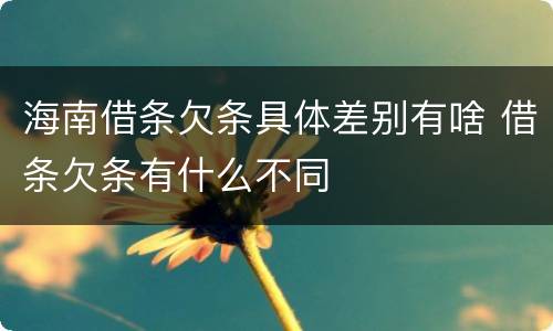 海南借条欠条具体差别有啥 借条欠条有什么不同