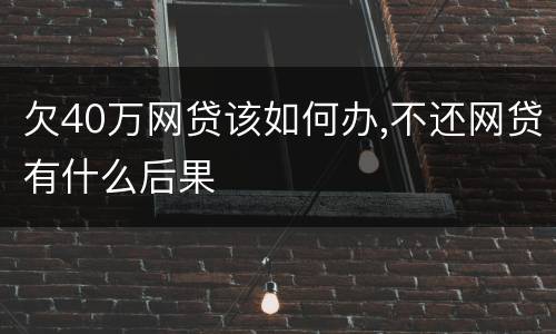 欠40万网贷该如何办,不还网贷有什么后果