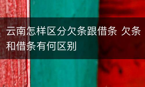 云南怎样区分欠条跟借条 欠条和借条有何区别