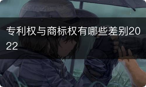 专利权与商标权有哪些差别2022