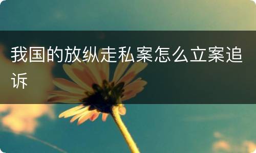 我国的放纵走私案怎么立案追诉