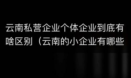 云南私营企业个体企业到底有啥区别（云南的小企业有哪些）