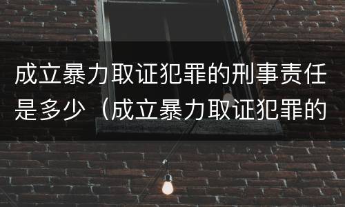 成立暴力取证犯罪的刑事责任是多少（成立暴力取证犯罪的刑事责任是多少年）