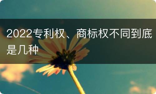 2022专利权、商标权不同到底是几种