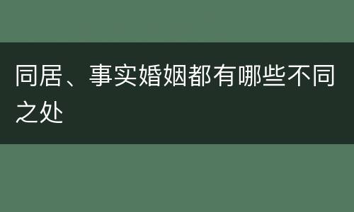 同居、事实婚姻都有哪些不同之处