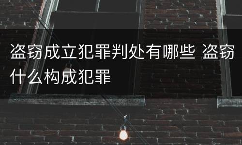盗窃成立犯罪判处有哪些 盗窃什么构成犯罪