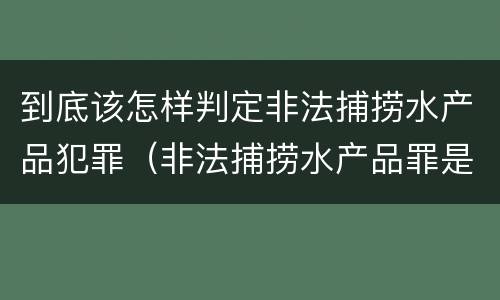 到底该怎样判定非法捕捞水产品犯罪（非法捕捞水产品罪是行为犯吗）