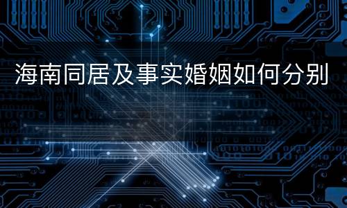 海南同居及事实婚姻如何分别