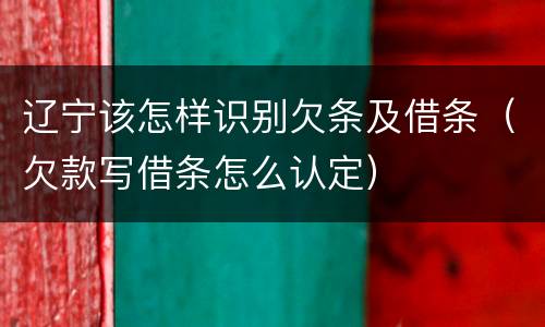 辽宁该怎样识别欠条及借条（欠款写借条怎么认定）