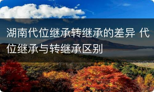 湖南代位继承转继承的差异 代位继承与转继承区别