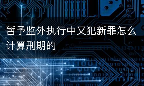 暂予监外执行中又犯新罪怎么计算刑期的