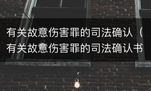 有关故意伤害罪的司法确认（有关故意伤害罪的司法确认书）