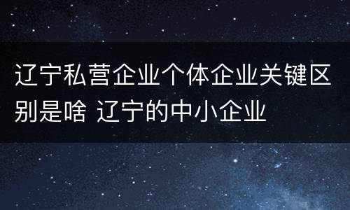 辽宁私营企业个体企业关键区别是啥 辽宁的中小企业