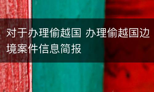 对于办理偷越国 办理偷越国边境案件信息简报