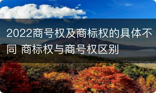 2022商号权及商标权的具体不同 商标权与商号权区别