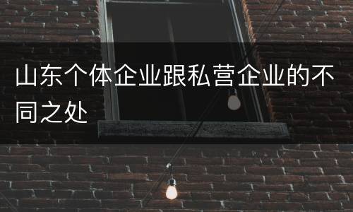山东个体企业跟私营企业的不同之处