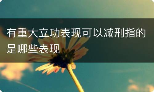 有重大立功表现可以减刑指的是哪些表现