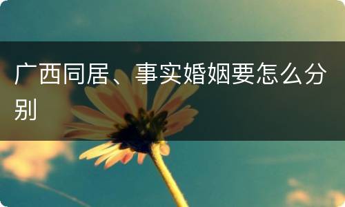 广西同居、事实婚姻要怎么分别
