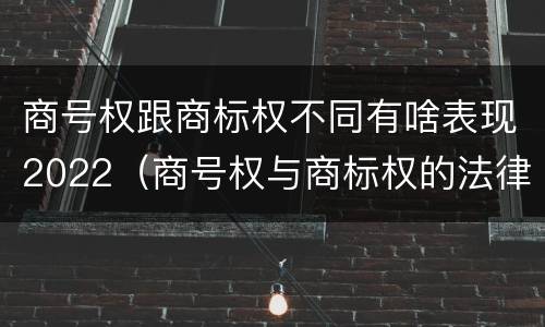 商号权跟商标权不同有啥表现2022（商号权与商标权的法律冲突与解决）