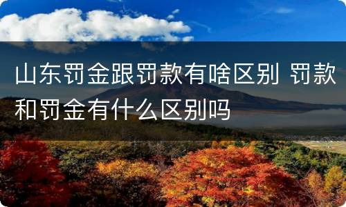 山东罚金跟罚款有啥区别 罚款和罚金有什么区别吗