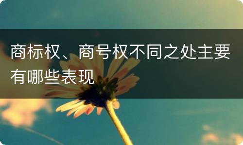 商标权、商号权不同之处主要有哪些表现