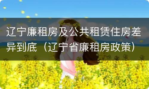 辽宁廉租房及公共租赁住房差异到底（辽宁省廉租房政策）