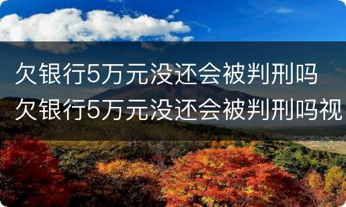 欠银行5万元没还会被判刑吗 欠银行5万元没还会被判刑吗视频
