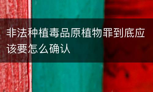 非法种植毒品原植物罪到底应该要怎么确认