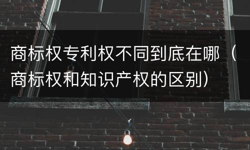 商标权专利权不同到底在哪（商标权和知识产权的区别）