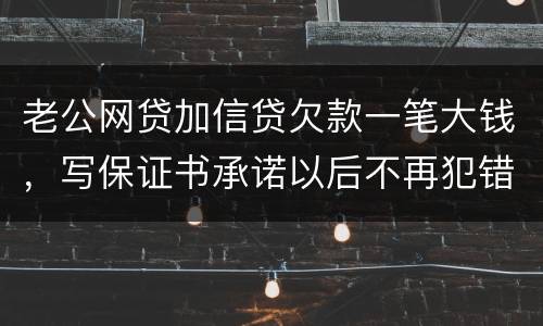 老公网贷加信贷欠款一笔大钱，写保证书承诺以后不再犯错，请问怎样写受法律保护