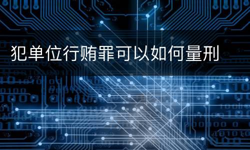 犯单位行贿罪可以如何量刑