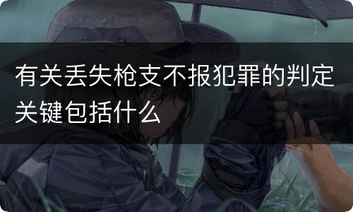有关丢失枪支不报犯罪的判定关键包括什么