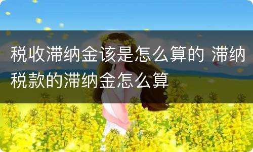 税收滞纳金该是怎么算的 滞纳税款的滞纳金怎么算