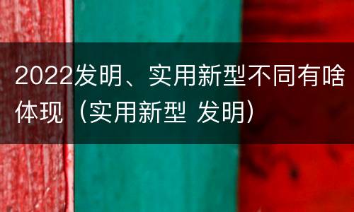 2022发明、实用新型不同有啥体现（实用新型 发明）