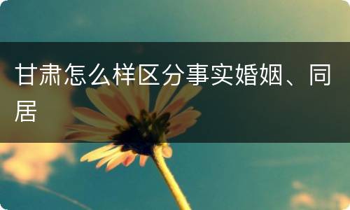 甘肃怎么样区分事实婚姻、同居