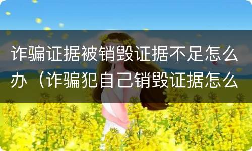 诈骗证据被销毁证据不足怎么办（诈骗犯自己销毁证据怎么办）