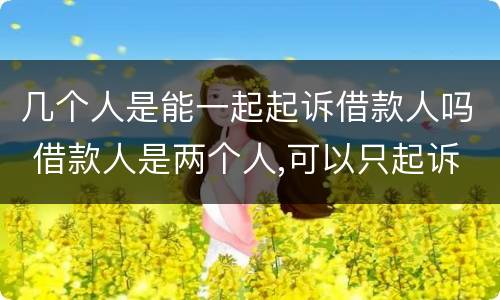 几个人是能一起起诉借款人吗 借款人是两个人,可以只起诉一个人吗