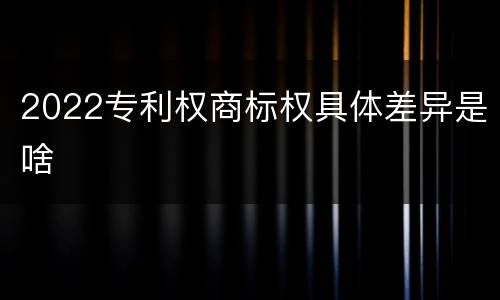 2022专利权商标权具体差异是啥