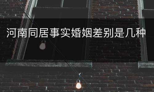 河南同居事实婚姻差别是几种